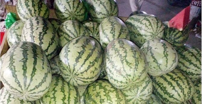 অর্ধেক দামেও ক্রেতা মিলছে না তরমুজের