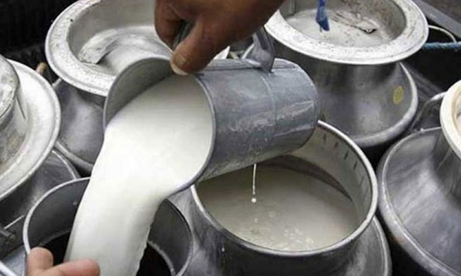 পাবনার দুগ্ধ খামারিরা বিপাকে