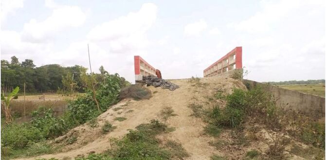 সেতু আছে, সংযোগ সড়ক নেই