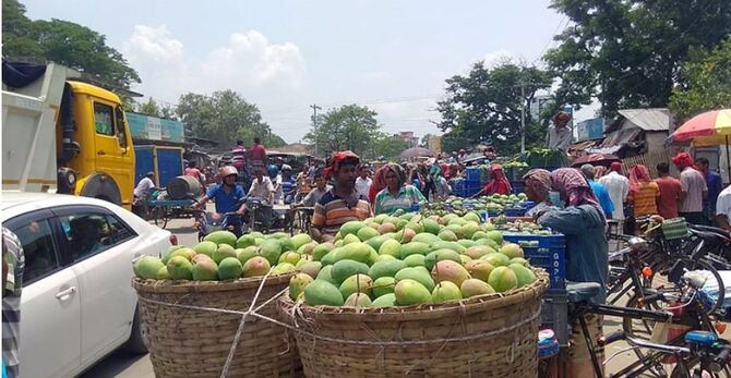 বানেশ্বর আমের হাটে অব্যবস্থাপনা দেখার কেউ নেই, হয়রানিতে চাষিরা