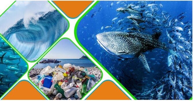 দূষণ থেকে সমুদ্রকে বাঁচাবেন যেভাবে