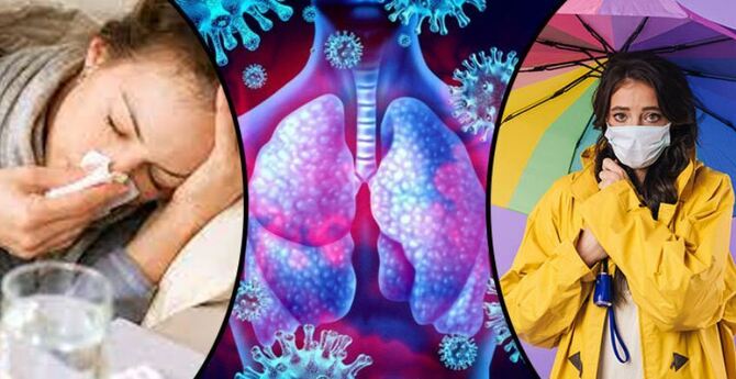 বর্ষায় সুস্থ থাকতে পাতে রাখুন ৬ খাবার