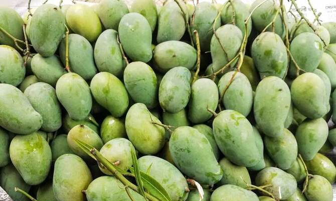 দুই মণ আমে এক কেজি খাসির মাংস!