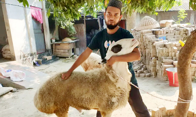 দুম্বার খামার দিয়ে কোটিপতি হওয়ার স্বপ্নে বিভোর সোহেল