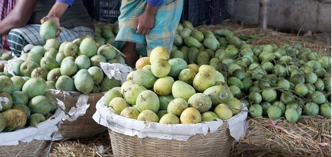 চাঁপাইয়ের বেনামি আমগুলোর নামকরণ হচ্ছে