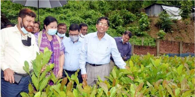 কাজুবাদাম-কফি চাষে ২১১ কোটি টাকার প্রকল্প