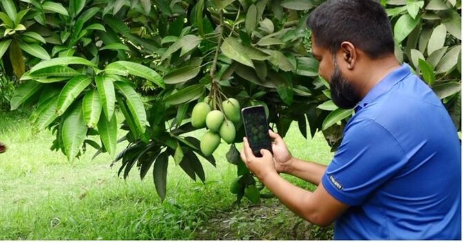 রংপুরের হাঁড়িভাঙা চাষে স্বাবলম্বী মানিকগঞ্জের একদল যুবক