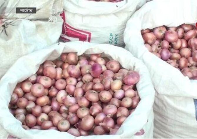 নাটোরে তিনদিনে পেঁয়াজ কেজিতে কমল ১৫ টাকা