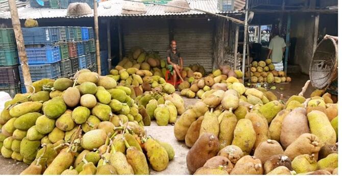 ‘বৃষ্টি হলে কাঁঠালের চাহিদা বাড়ে’