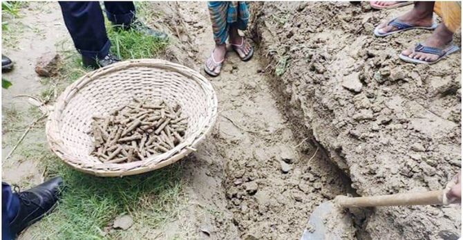 নাটোরে মাটি খুঁড়ে মিলল ৩৭৯ রাউন্ড গুলি