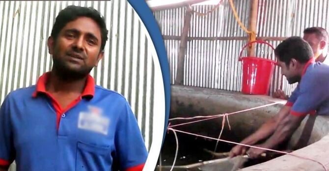 ভিডিও দেখে মাছ চাষ আমিরুলের, বিক্রি ৩ লাখ টাকা
