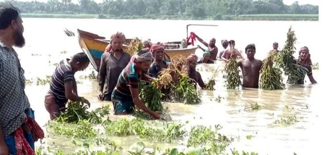 বানের পানিতে ভাসছে বাদামচাষিদের স্বপ্ন