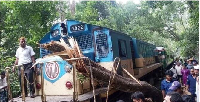 চলন্ত ট্রেনের ওপর ভেঙে পড়ল গাছ