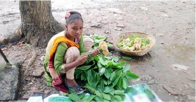 গাছে গাছে ফুটেছে কদমফুল