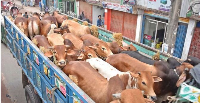 পশুবাহী যানে চাঁদাবাজি বন্ধে নজরদারি থাকবে : স্বরাষ্ট্রমন্ত্রী
