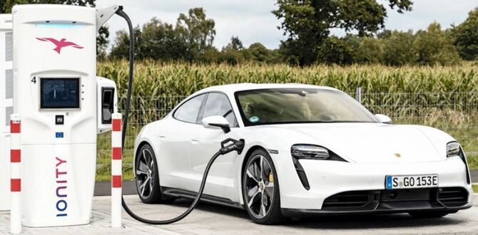 দ্রুত বিশ্ব বাজার দখল করবে ইলেকট্রিক গাড়ি