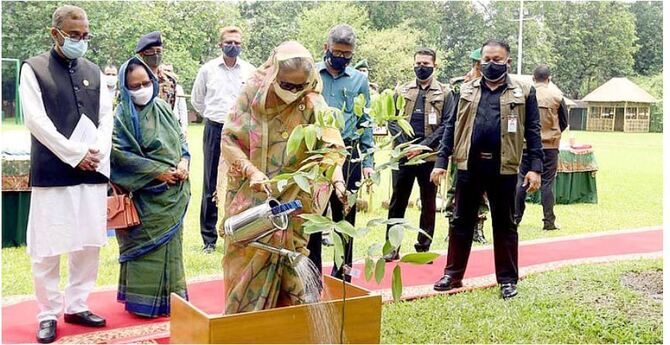 তিনটি করে গাছ লাগান : প্রধানমন্ত্রী