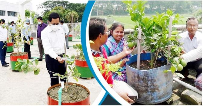 ফরিদপুরে জনপ্রিয় হচ্ছে ছাদ বাগান