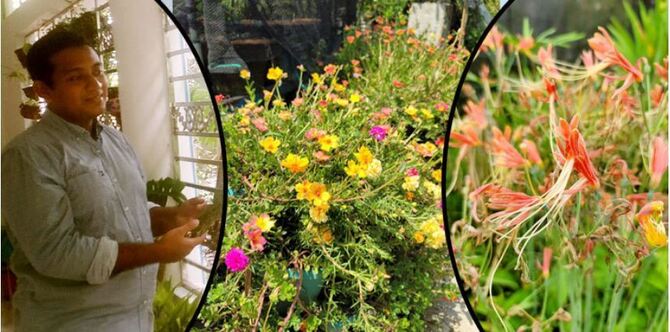 চিকিৎসকের বাড়িতে দুর্লভ প্রজাতির গাছ