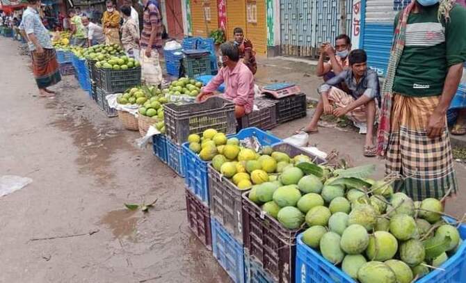 হাড়িভাঙ্গা আমের দামে ধস, ১৫০ কোটি টাকা ক্ষতির আশঙ্কা
