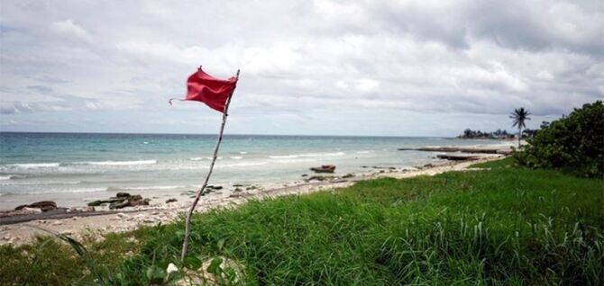 ফ্লোরিডার দিকে ধেয়ে যাচ্ছে ঘূর্ণিঝড় এলসা