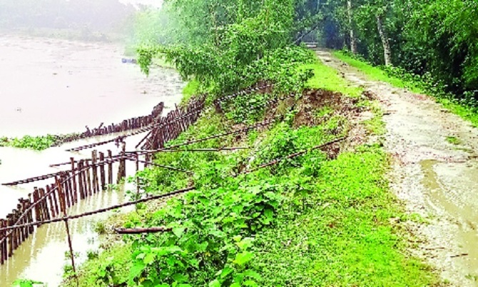 টানা বৃষ্টিতে জমি-বাঁশঝাড় বিলীন