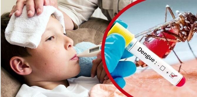 এ সময় ডেঙ্গু প্রতিরোধে যা করবেন