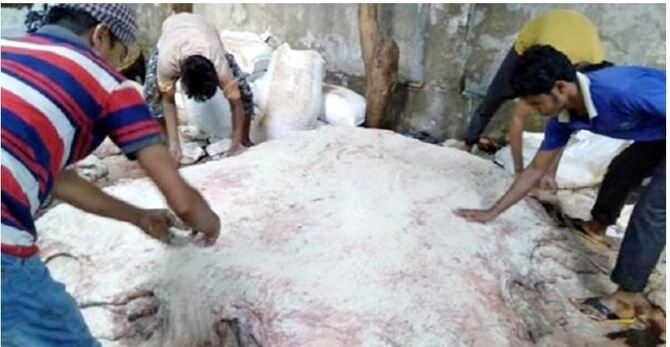 ঈদে লবণ সরবরাহ নিশ্চিতে বিসিকের তাগিদ
