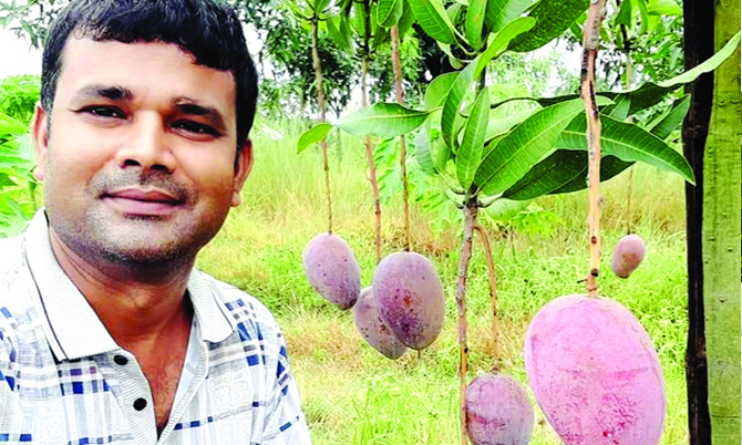 বাগান থেকেই বছরে আয় ৫০ লাখ টাকা