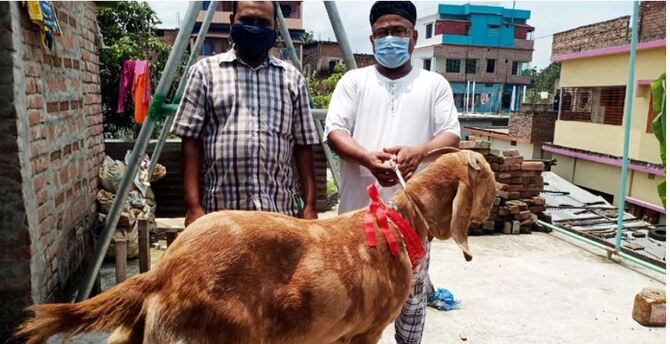 রাজাবাবু’র ওজন ৮৫ কেজি, থাকে শীতল ঘরে