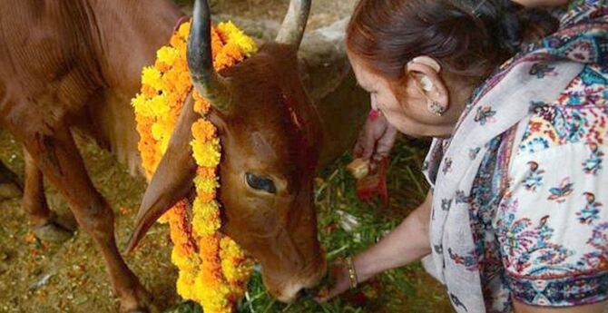 হিন্দু এলাকায় গো-মাংস বিক্রি নিষিদ্ধ করে নতুন বিল আসামে