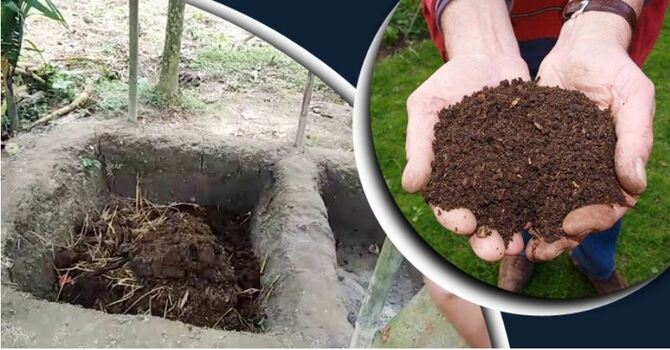 গোবর থেকে জৈব সার তৈরির নিয়ম