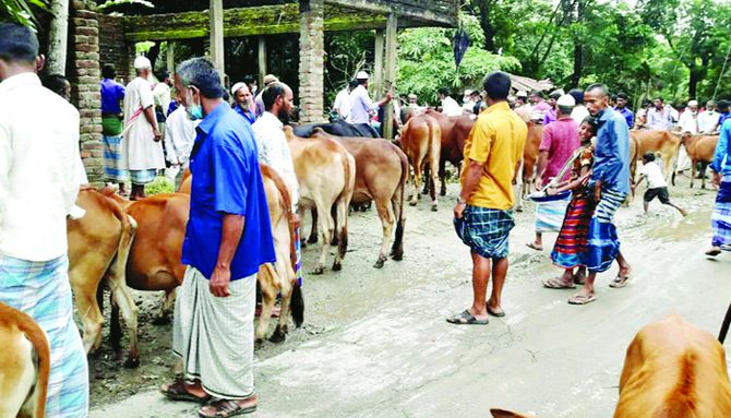 পশুর হাটে বৃদ্ধ-শিশুদের প্রবেশ নিয়ন্ত্রণসহ সরকারের ১২ নির্দেশনা