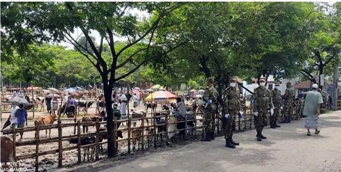 শরীয়তপুরে শুরু হলো ব্যতিক্রমী গরুর হাট