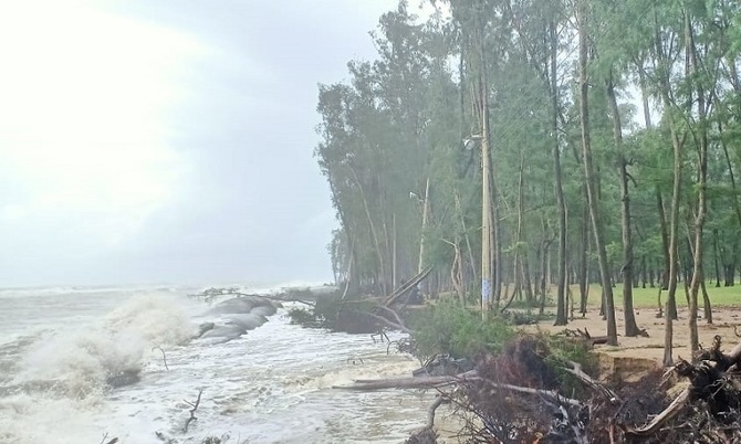 ক্রমে বিলীন হচ্ছে বালিয়াড়ি-ঝাউবাগান