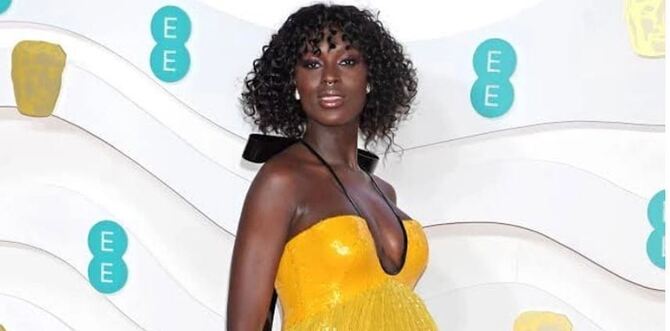 কান উৎসবে অভিনেত্রীর হীরার গয়না চুরি