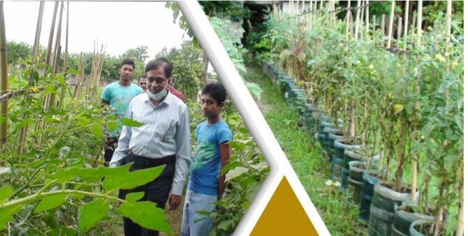 প্লাস্টিকের পানির জারে সবজি চাষ