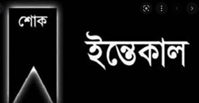 আ.লীগ নেতা মন্নাফীর স্ত্রী মাহমুদা আর নেই