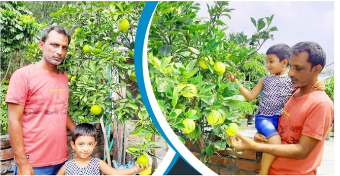 লিটনের ছাদ বাগানে ৩০ ধরনের ফল