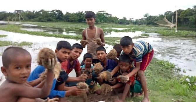 বজ্রপাত থেকে রক্ষা পেতে তালবীজ রোপণ করলো শিশুরা