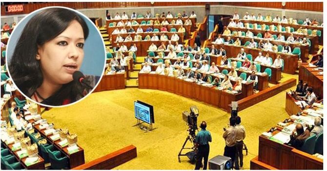 জনগণের ব্যক্তিগত তথ্য সংগ্রহের উদ্যোগে রুমিন ফারহানার উদ্বেগ