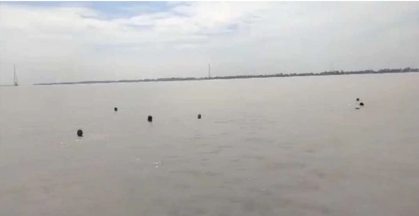 নিজ চরের পরিচিতি বাড়াতে ৫ ঘণ্টা যমুনায় সাঁতরালেন ৫ যুবক