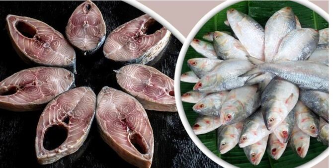 ইলিশ মাছ সংরক্ষণের সহজ ২ পদ্ধতি