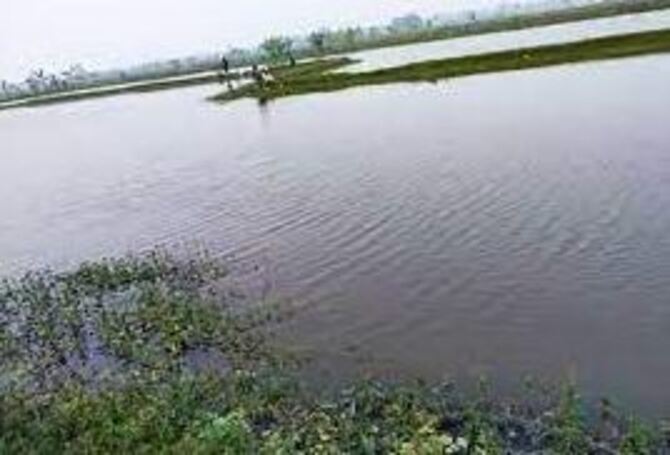 আগাছায় ভরা জলাবদ্ধ ভবদহের ২১ বিল ৫৯০ গ্রামে সমস্যা