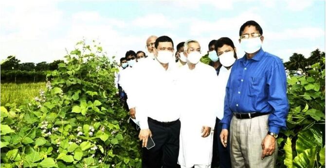 দক্ষিণাঞ্চলের লবণাক্ত এলাকায় কৃষি বিপ্লব ঘটবে