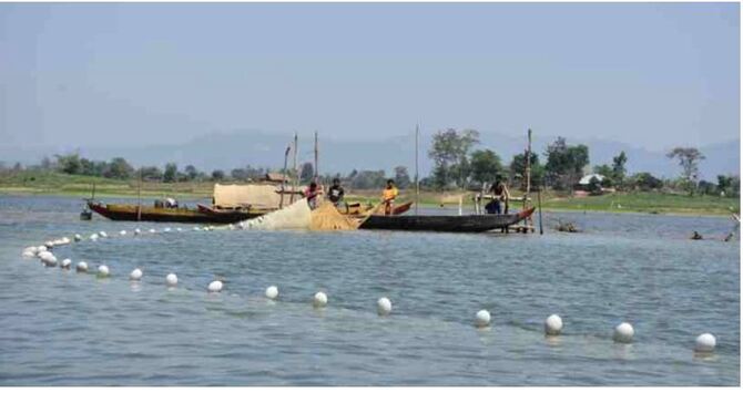 কাপ্তাইয়ে মাছে বছরে বাণিজ্য ৩০০ কোটি