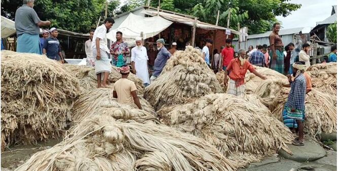 জমে উঠেছে শতবর্ষী পাটের হাট, ভালো দামে খুশি কৃষকরা