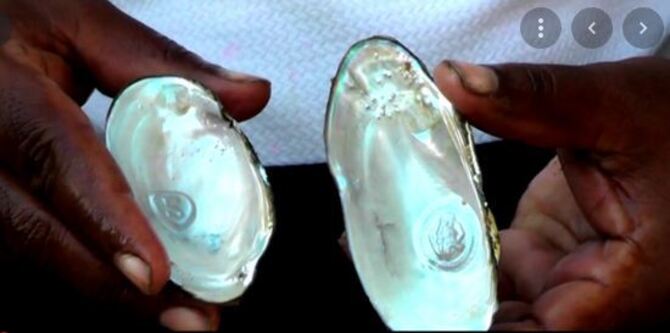 মুক্তাচাষে সফল সুজন, শিখিয়েছেন আরও ১৫৩ জনকে