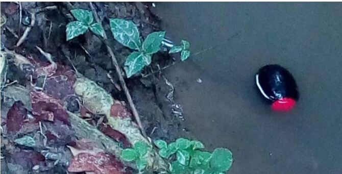 খুলনায় ভোটকেন্দ্রে গুলি-বোমা নিক্ষেপ, আহত ৫