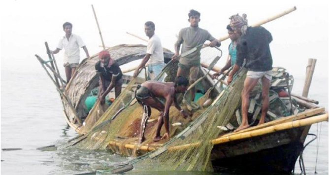 ইলিশ ধরা নিষিদ্ধকালে ২০ কেজি করে চাল পাবেন জেলেরা